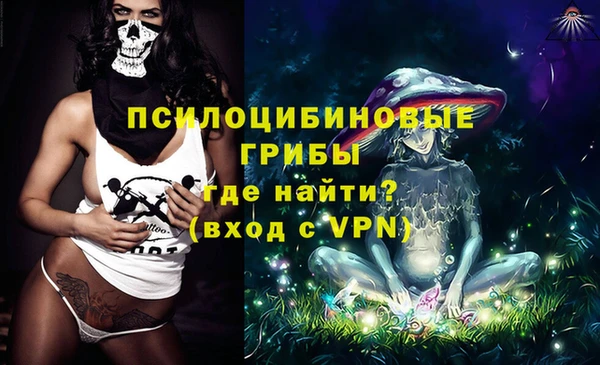 СК Осташков