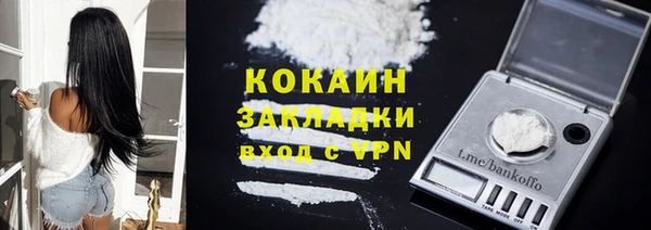 хмурый Арсеньев