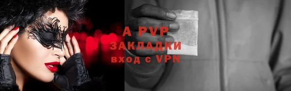 хмурый Арсеньев