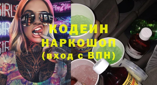 хмурый Арсеньев
