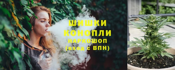 хмурый Арсеньев