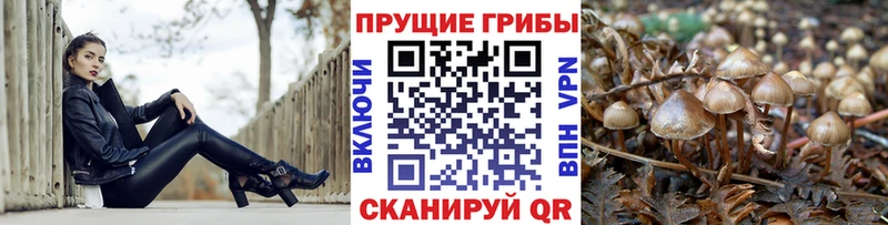 Псилоцибиновые грибы ЛСД  ссылка на мегу ссылка  Серов 
